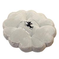 TOPBATHY Animal Chair Cushion Chair Pad Pillow for Yoga Living Room Balcony Office Outdoor Kids Plush Toys (Husky)