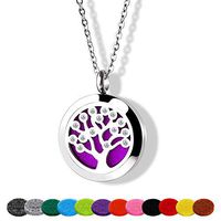 RoyAroma Essential Oil Necklace Diffuser Necklace Stainless Steel Not Fade Gift Set for Women and Girls