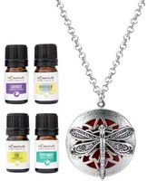 Wild Essentials Dragonfly Essential Oil Diffuser Necklace Gift Set Includes Aromatherapy Pendant, 24" Stainless Steel Chain, 12 Refill Pads and Pure Oils (Lavender, Peppermint, Inner Calm and Zen)