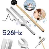 Efaster 528Hz Frequency Tuning Fork with Striking Mallet,for Relaxation and Healing Devotional Meditation,Sound Healing Tool (Silver)