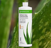Herbal Aloe Concentrate Mandarin Pint Flavor 16 FL OZ Supports Healthy Digestion