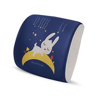 SPLY DTEM Desktop Waist Pain Waist Pillow Support Pad - Clinical Grade Memory Foam orthosis for car Driving and Office Chairs.