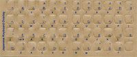 Datacal Non-English Keyboard Overlay - Japanese (Hiragana), Durable L