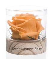 Sustainable Home Scent 12oz A Real Fragrance Flower with Lasting abilities Similar to Scented Candle, Wax and Aroma Diffuser (Amber/Fragrance Papillon de Versailles)