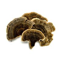 Dried Turkey Tail Mushrooms - 4 oz.