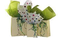 Eurotote Gift Bag Assortment with Coordinating Tissue Paper and Ribbon - 16 Pieces (Ivory)