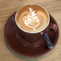 CUPPALIFE Reishi Mocha Blend (2 oz)