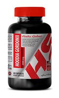 Hoodia Liquid - HOODIA GORDONII Powder 2000 MG - Lower Number of Calories (1 Bottle)
