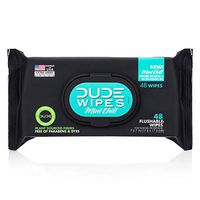 Dude Products Wipes Flushable Wet Wipes Dispenser, Mint Chill, 48Count - Scented Wet Wipes with Vitamin-E, Aloe, Eucalyptus & Tea Tree Oils for at-Home Use, Septic & Sewer Safe, Pack of 1