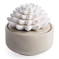 Airomé Succulent Passive White Porcelain Diffuser, Non-Electric, Battery-Free Fragrance and Essential Oil Diffuser With Peppermint Essential Oil, White Cactus with Beige Base