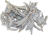 CLUSTERS CALIFORNIA WHITE SAGE LOOSE 1oz. BAG by Rainbow Seeds