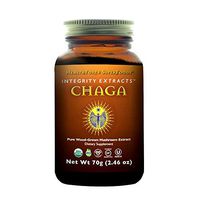 HealthForce Integrity Extracts Chaga - 70g Vegan Powder- Organic Mushroom Powder - Antioxidant Benefits for Skin, Hair, and Nail Health - Boosts Immune System - Gluten-Free - 35 Servings
