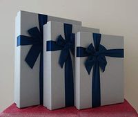 Grey Silver Rectangular Gift Boxes with Ribbon, a Nested Set of 3