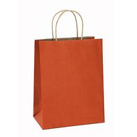 Paper Gift Bags 8x4.25x10.5 Inches 100Pcs BagDream Orange Stripe Gift Bags Shopping Bags Kraft Bags Retail Bags Craft Bag 100% Recyclable Paper Bags with Handles Bulk