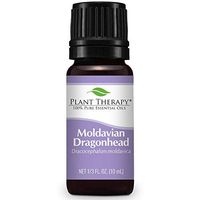 Plant Therapy Moldavian Dragonhead Essential Oil 10 mL (1/3 oz) 100% Pure, Undiluted, Therapeutic Grade