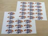 Minilabel Pack Of 30 Cat, Kitten, 51X25mm Oval Seal Labels, Stickers For Craft, Decoration, Gift Wrapping, Presents, Envelopes, Bags Or Cards