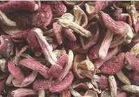 Red Mushroom Russula Dried 320 Gram