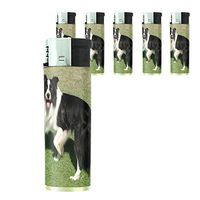 Dog border collie 01 Lighter Set of 5 Pieces