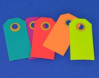 20 Medium Luggage Style Bright Coloured Tags for Crafts | Christmas Gift Wrap