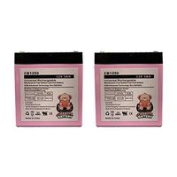 Razor E100 12v 5Ah Replacement Electric Scooter SLA CB1250 by Charity Battery - 2 Pack