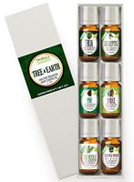 Top 6 Tree & Earth Essential Oils 100% Pure, Best Therapeutic Grade Aromatherapy Essential Oil Gift Set - 6/10 mL