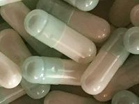 Empty Gelatin Capsules Size 3 Light Mint & White (100)