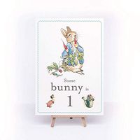 Luck Peter Rabbit Birthday Sign Some Bunny is 1 A4 Card and Easel