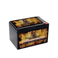 Rechargeable 12V 14AH SLA Battery Replaces Pride Mobility Go-Go Folding S19 12V 14Ah Scooter Battery -Pirate Battery