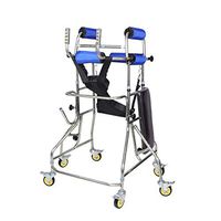 F&T Stroke Hemiplegic Walking Frame, Standing Walker, Six-Wheeled Adult Rehabilitation Equipment (Color : Blue)