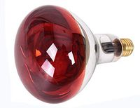 Infrared Lamp Bulb Accessory 110V for Elitzia Infrared Lamp Elitzia ETH311