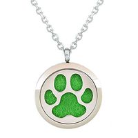 Aromatherapy Necklace - Pet Pow - Essential Oil Diffuser Necklace - Aromatherapy Jewelry - Stainless Steel with a Chain, 12 Insert Pads and a Gift Pouch - Best Aromatherapy Gift Set