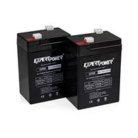 6V 5Ah SLA Rechargeable Battery -2 Pack