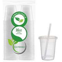 50 Count Eco Friendly Clear PLA Cups with Lids - Plasticless 16 Ounce Biodegradable Plastic Cups Made of Compostable Plant-Based PLA for to Go Cold Beverage