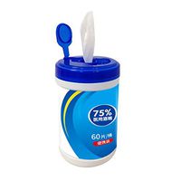 Wet Wipes Personal Cleansing Wipes Antiseptic Cleanser Cleaning Sterilization Suitable for All Daily Protection 60 Wet Wipes Per Pack