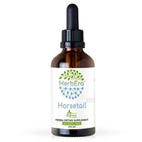 Horsetail B120 Alcohol-Free Herbal Extract Tincture, Super-Concentrated Organic (Equisetum arvense) 4 fl oz