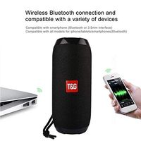 T&G117 Portable Bluetooth Speaker (Black)