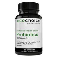 Pure Natural Formula - Probiotics for Men & Women - Gut & Digestive Health, Potent Strains, 100 Billion CFU, Lactobacillus + Prebiotic - Capsules