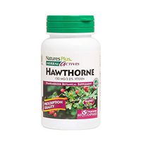 NaturesPlus Herbal Actives English Hawthorne - 60 Vegetarian Capsules - Nutritional Support for Healthy Heart Function - Hypoallergenic, Vegan, Gluten-Free - 60 Servings