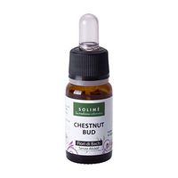 Fiori di Bach - Chestnut Bud 10 ml - Rimedio Naturale analcolico indicato per la mente, l'emotività e lo Stress - Prodotto erboristico Made in Italy