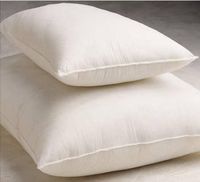Bed Pillows - Disposable - 17" x 24" - 10 oz.