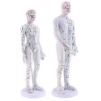 kesoto Acupuncture Point Model Female Male Black