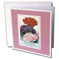 Verbena Flowers Vintage Seed Packet Reproduction image - Greeting Cards, 6 x 6 inches, set of 12 (gc_170956_2)