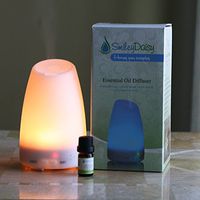 Smiley Daisy Aromatherapy Diffuser Bundle with 5 ML 100% Eucalyptus Essentila Oil