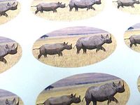 Minilabel Pack Of 48 Rhino Seals , 40X20mm Oval Seal Labels, Stickers For Gift Wrapping, Presents, Envelopes, Bags Or Cards