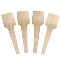 [25 Count] Wooden Mini Biodegradable Tasting Spoons Tiny 2.75 Inch Eco Friendly Square Gelato Spoons - Perfect for Sampling Food, Ice Cream, or Spices - Frozen Dessert Supplies