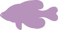 hBARSCI Fish Vinyl Decal - 5 Inches - for Cars, Trucks, Windows, Laptops, Tablets, Outdoor-Grade 2.5mil Thick Vinyl - Lilac