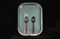 Black Heavy Weight Polypropylene Plastic Spoons (Case of 2000)