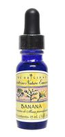 Banana Spirit-in-Nature Flower Essence for Humility Rooted in Calmness 1/2 Ounce (15 Milliliters)