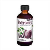 Elderberry Concentrate, 4 fl oz | Daily Wellness from European Elderberry Extract