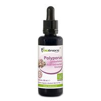 Biotraxx Polypore (Polyporus umbellatus) Extract Mushroom Tincture 50 ml, Made in Germany